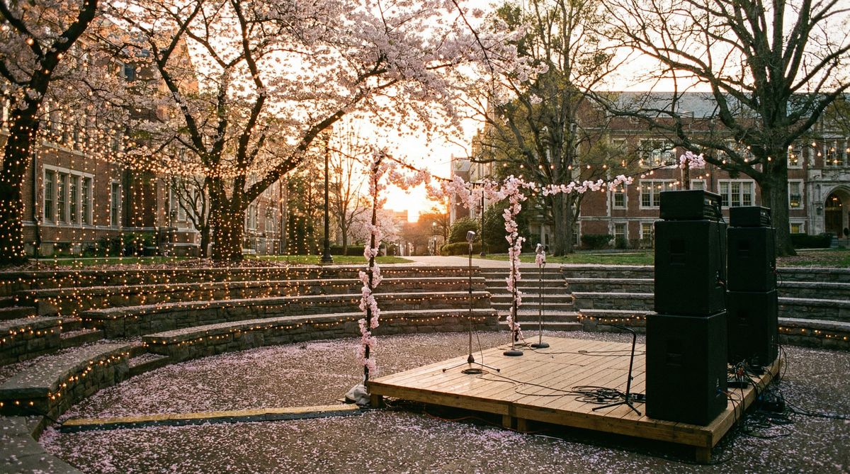 网红主播校园音乐节现场传媒记录